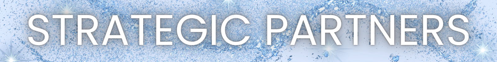 Strategic Partners banner